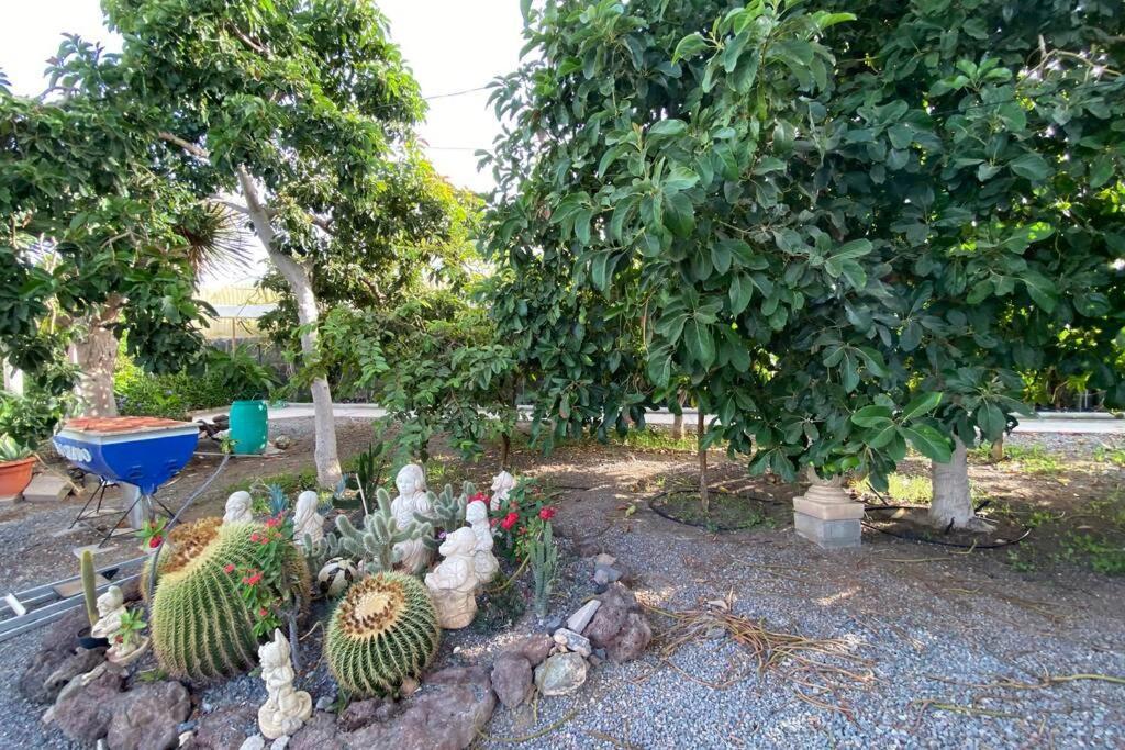 2 Apartments With Private Pool At Villa Diaz Aleman 살로브레 외부 사진